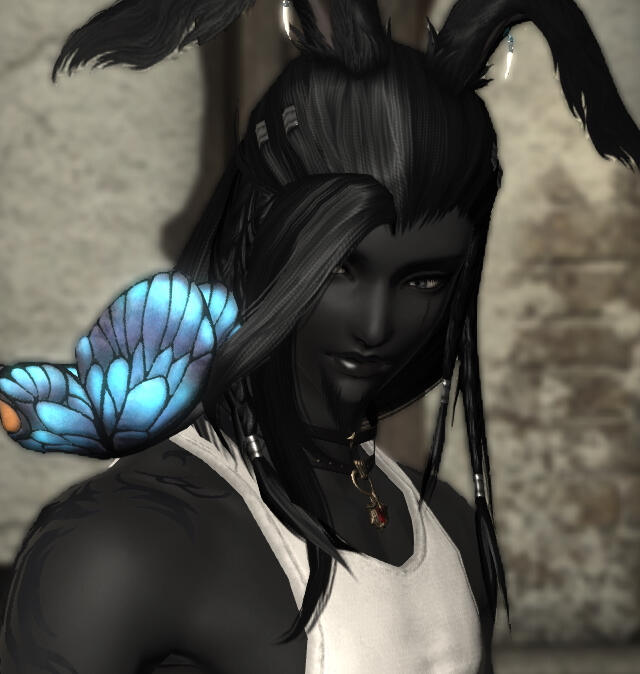 Rhys Dhalen, male viera punchbun